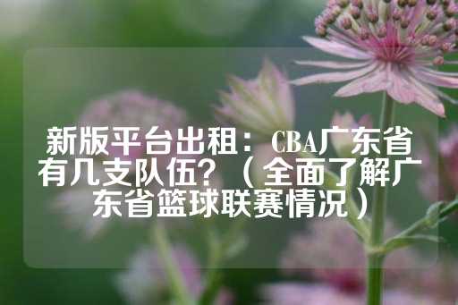 新版平台出租：CBA广东省有几支队伍？（全面了解广东省篮球联赛情况）-第1张图片-皇冠信用盘出租