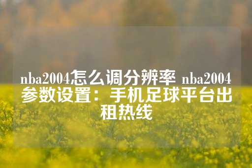 nba2004怎么调分辨率 nba2004参数设置：手机足球平台出租热线