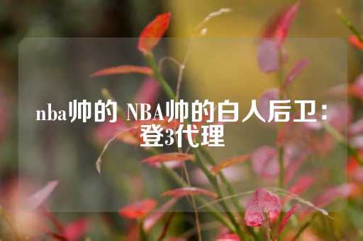 nba帅的 NBA帅的白人后卫：登3代理-第1张图片-皇冠信用盘出租