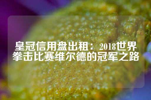 皇冠信用盘出租：2018世界拳击比赛维尔德的冠军之路