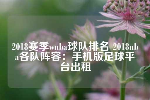 2018赛季wnba球队排名 2018nba各队阵容：手机版足球平台出租