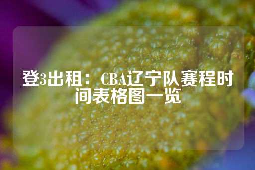 登3出租：CBA辽宁队赛程时间表格图一览