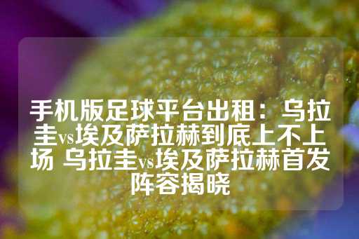 手机版足球平台出租：乌拉圭vs埃及萨拉赫到底上不上场 乌拉圭vs埃及萨拉赫首发阵容揭晓-第1张图片-皇冠信用盘出租