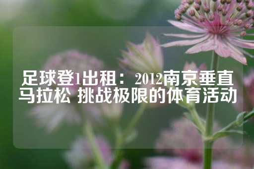 足球登1出租：2012南京垂直马拉松 挑战极限的体育活动-第1张图片-皇冠信用盘出租