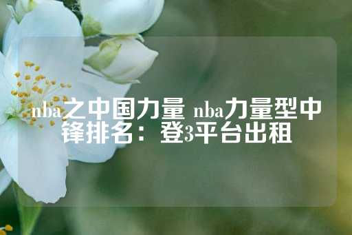 nba之中国力量 nba力量型中锋排名：登3平台出租