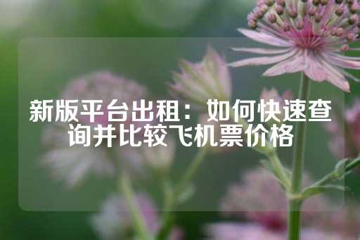 新版平台出租：如何快速查询并比较飞机票价格-第1张图片-皇冠信用盘出租