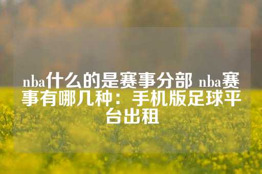 nba什么的是赛事分部 nba赛事有哪几种：手机版足球平台出租-第1张图片-皇冠信用盘出租