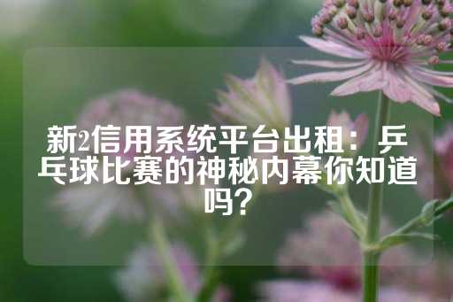 新2信用系统平台出租：乒乓球比赛的神秘内幕你知道吗？-第1张图片-皇冠信用盘出租