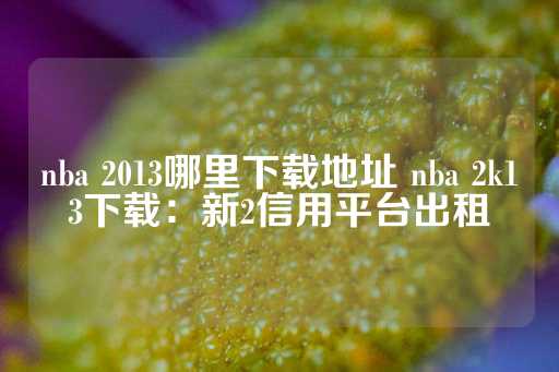 nba 2013哪里下载地址 nba 2k13下载：新2信用平台出租-第1张图片-皇冠信用盘出租