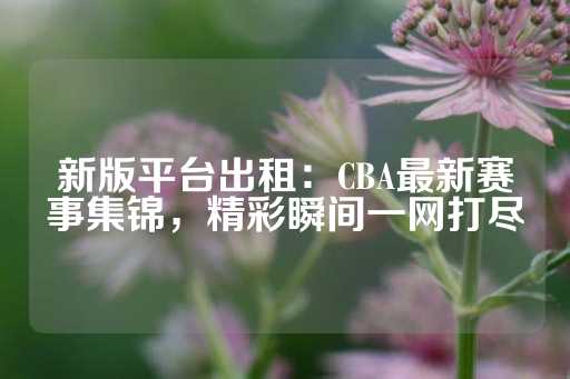 新版平台出租：CBA最新赛事集锦，精彩瞬间一网打尽