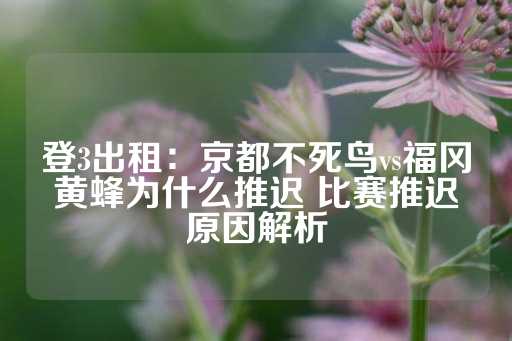 登3出租：京都不死鸟vs福冈黄蜂为什么推迟 比赛推迟原因解析-第1张图片-皇冠信用盘出租