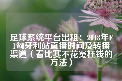 足球系统平台出租：2018年F1匈牙利站直播时间及转播渠道（看比赛不花冤枉钱的方法）