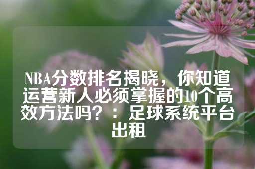 NBA分数排名揭晓，你知道运营新人必须掌握的10个高效方法吗？：足球系统平台出租