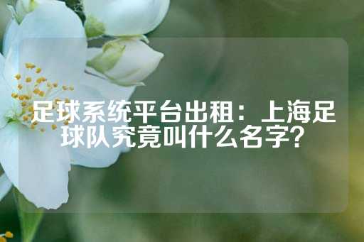 足球系统平台出租：上海足球队究竟叫什么名字？-第1张图片-皇冠信用盘出租