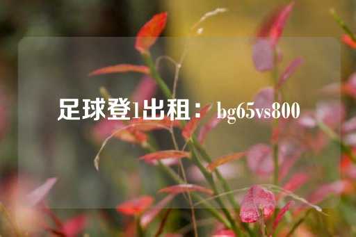 足球登1出租：bg65vs800-第1张图片-皇冠信用盘出租