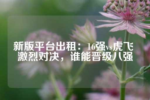 新版平台出租：16强vs虎飞 激烈对决，谁能晋级八强-第1张图片-皇冠信用盘出租