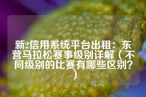 新2信用系统平台出租：东营马拉松赛事级别详解（不同级别的比赛有哪些区别？）-第1张图片-皇冠信用盘出租