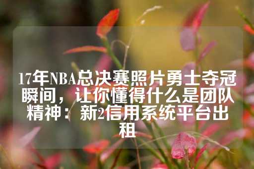 17年NBA总决赛照片勇士夺冠瞬间，让你懂得什么是团队精神：新2信用系统平台出租-第1张图片-皇冠信用盘出租