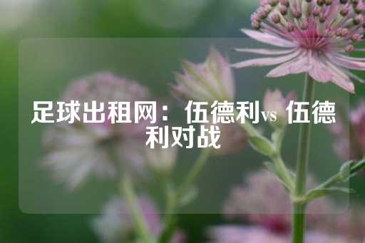 足球出租网：伍德利vs 伍德利对战