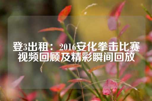 登3出租：2016安化拳击比赛视频回顾及精彩瞬间回放