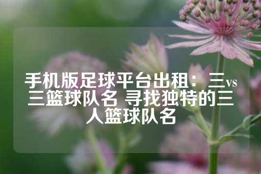 手机版足球平台出租：三vs三篮球队名 寻找独特的三人篮球队名