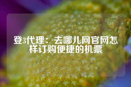 登3代理：去哪儿网官网怎样订购便捷的机票