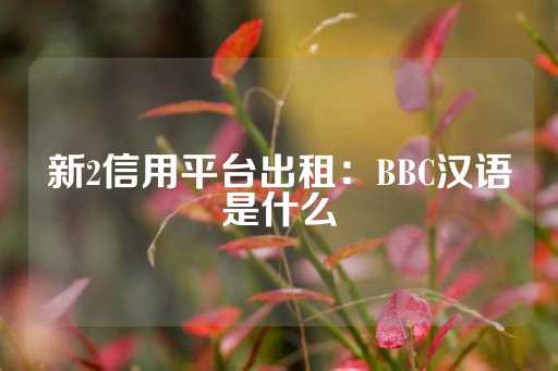 新2信用平台出租：BBC汉语是什么-第1张图片-皇冠信用盘出租