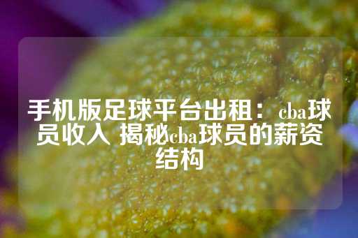 手机版足球平台出租：cba球员收入 揭秘cba球员的薪资结构