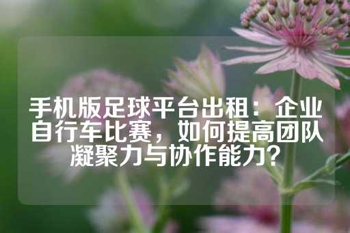 手机版足球平台出租：企业自行车比赛，如何提高团队凝聚力与协作能力？