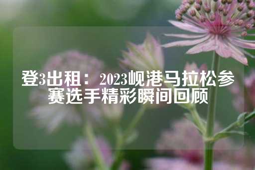 登3出租：2023岘港马拉松参赛选手精彩瞬间回顾