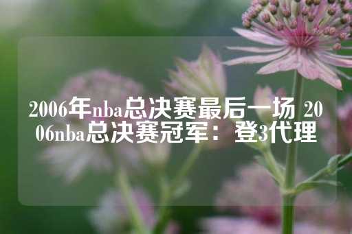 2006年nba总决赛最后一场 2006nba总决赛冠军：登3代理-第1张图片-皇冠信用盘出租