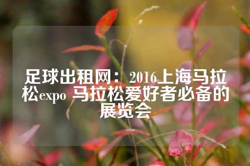 足球出租网：2016上海马拉松expo 马拉松爱好者必备的展览会-第1张图片-皇冠信用盘出租