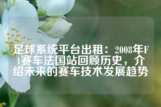 足球系统平台出租：2008年F1赛车法国站回顾历史，介绍未来的赛车技术发展趋势-第1张图片-皇冠信用盘出租