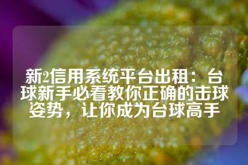 新2信用系统平台出租：台球新手必看教你正确的击球姿势，让你成为台球高手