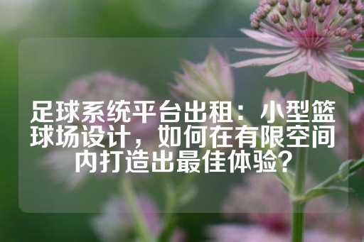 足球系统平台出租：小型篮球场设计，如何在有限空间内打造出最佳体验？