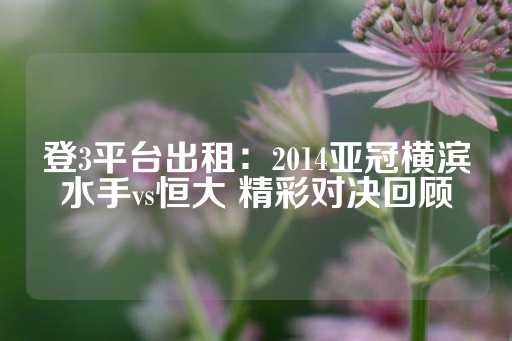 登3平台出租：2014亚冠横滨水手vs恒大 精彩对决回顾-第1张图片-皇冠信用盘出租