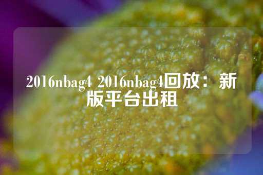 2016nbag4 2016nbag4回放：新版平台出租