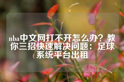 nba中文网打不开怎么办？教你三招快速解决问题：足球系统平台出租