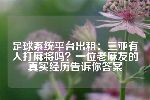 足球系统平台出租：三亚有人打麻将吗？一位老麻友的真实经历告诉你答案