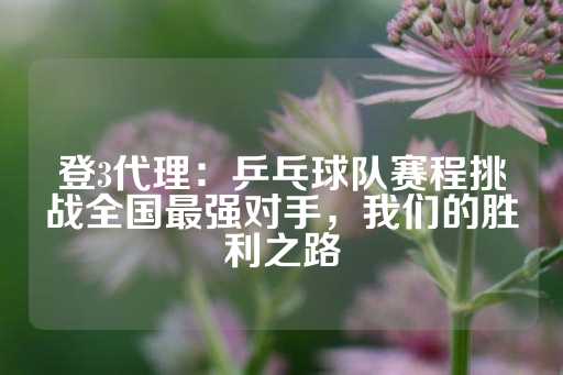 登3代理：乒乓球队赛程挑战全国最强对手，我们的胜利之路