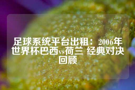 足球系统平台出租：2006年世界杯巴西vs荷兰 经典对决回顾