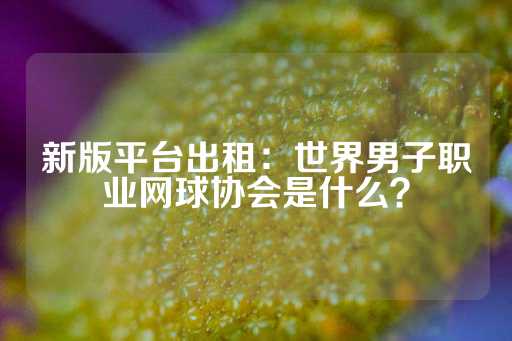 新版平台出租：世界男子职业网球协会是什么？