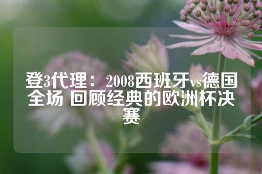 登3代理：2008西班牙vs德国全场 回顾经典的欧洲杯决赛-第1张图片-皇冠信用盘出租