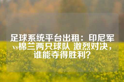 足球系统平台出租：印尼军vs棉兰两只球队 激烈对决，谁能夺得胜利？-第1张图片-皇冠信用盘出租