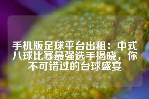 手机版足球平台出租：中式八球比赛最强选手揭晓，你不可错过的台球盛宴