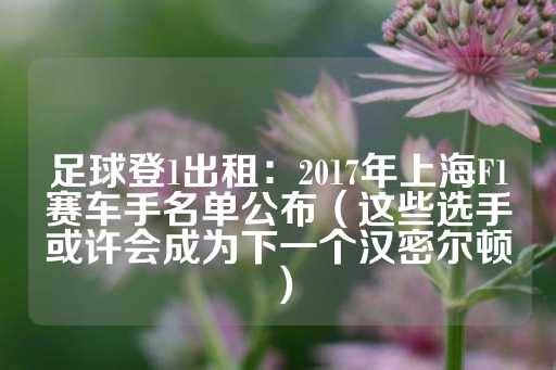 足球登1出租：2017年上海F1赛车手名单公布（这些选手或许会成为下一个汉密尔顿）