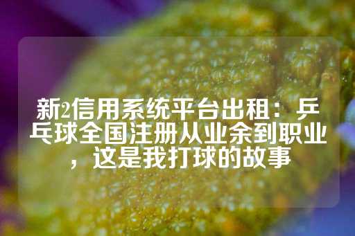 新2信用系统平台出租：乒乓球全国注册从业余到职业，这是我打球的故事