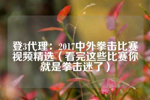 登3代理：2017中外拳击比赛视频精选（看完这些比赛你就是拳击迷了）