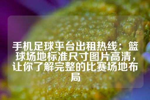 手机足球平台出租热线：篮球场地标准尺寸图片高清，让你了解完整的比赛场地布局-第1张图片-皇冠信用盘出租