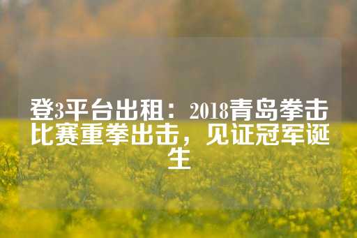 登3平台出租：2018青岛拳击比赛重拳出击，见证冠军诞生